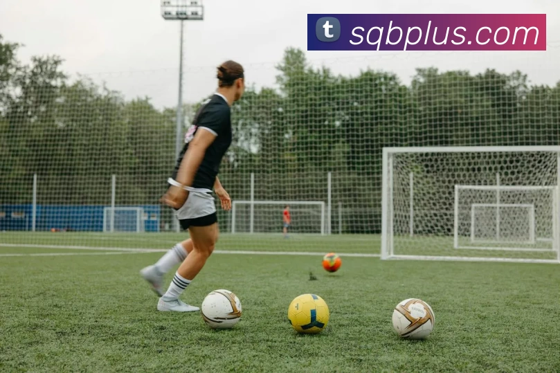 App Interface Preview